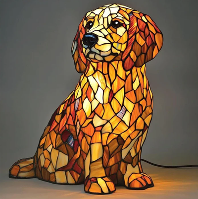 Pompom – Luce spirituale del golden retriever